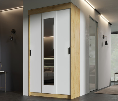 Шкаф-купе Эко