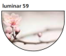 Стол обеденный Сеул 4, опора D50