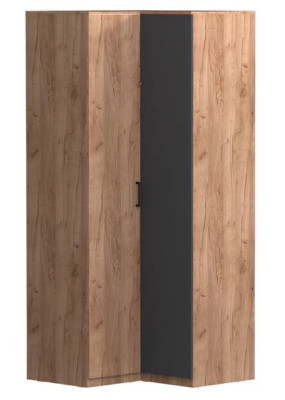 Шкаф угловой для одежды Эконика