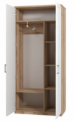 Шкаф 2-х дверный для одежды Визит-17