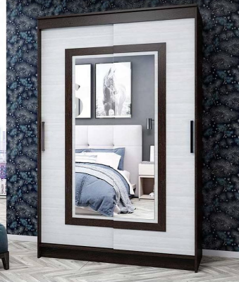 Шкаф-купе ЭЛЕГАНТ 5