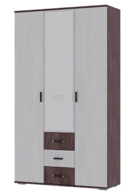 Шкаф для одежды Александра 4