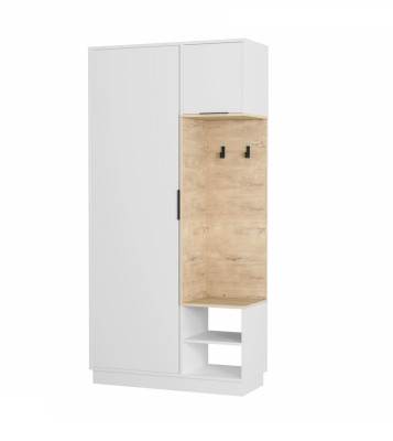 Шкаф комбинированный В3-1 "Визит-3"