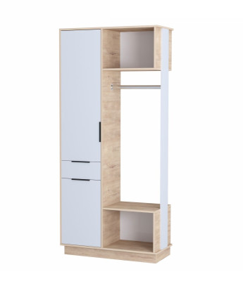 Шкаф комбинированный В3-2 &quot;Визит-3&quot;